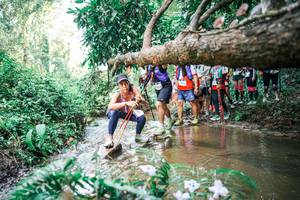 BIB: 
                            <button type="button" onclick="openModal(25516672)" class="btn btn-primary btn-sm float-right btn-popup" data-toggle="modal" data-target=".modal-high-quality">
                        <i class="fas fa-shopping-cart"></i> Add to Cart
                    </button>
                                            <button type="button" onclick="isThisMe(25516672, true)" class="btn btn-success btn-sm float-right btn-popup btn-isme hidden" data-toggle="tooltip" data-placement="bottom" title="นี่คือรูปของคุณใช่ไหม คลิกที่นี่เพื่อเอาเข้าอัลบั้ม">
                        <i class="fas fa-plus"></i> Add to album
                    </button>
                    <button type="button" onclick="isThisMe(25516672, false)" class="btn btn-warning btn-sm float-right btn-popup btn-isnotme hidden">
                        <i class="fas fa-ban"></i> Remove from album
                    </button>